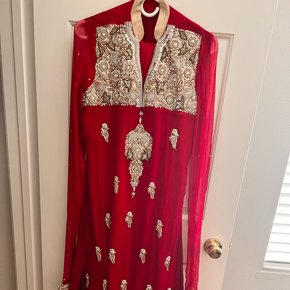 Pakistani Indian stunning dress